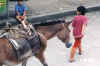 traffic_in_mindo_not_many_horses_in_ecuador.JPG (39110 bytes)