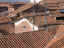 cusco-tile-roofs.jpg (94988 bytes)